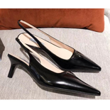  21SS  ۽    DS2056-1  5.5CM