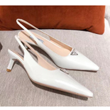  21SS  ۽    DS2056-2  5.5CM