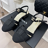               SH5604