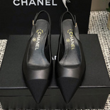      SH3872-1  6.5CM  2÷