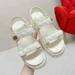      YF8501   5.5CM  2÷ 