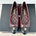      LP4812-1  2÷ 
