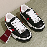   MYB6591